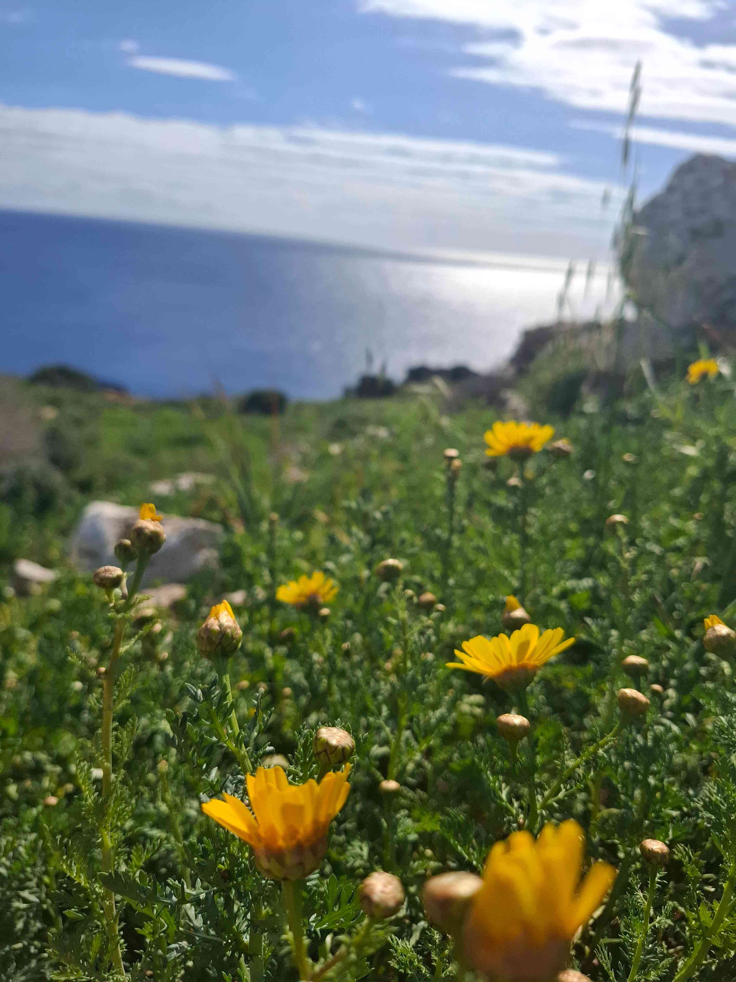 Cyprus Dream Holiday Galéria 28